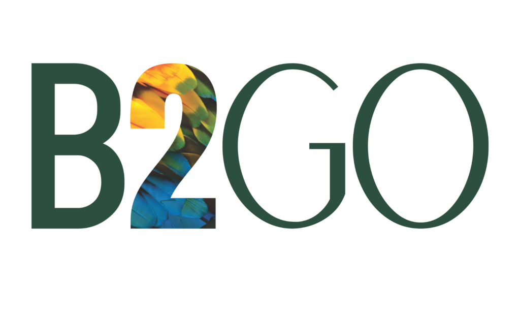 Logo B2GO Marketing - Desenvolvedor do site